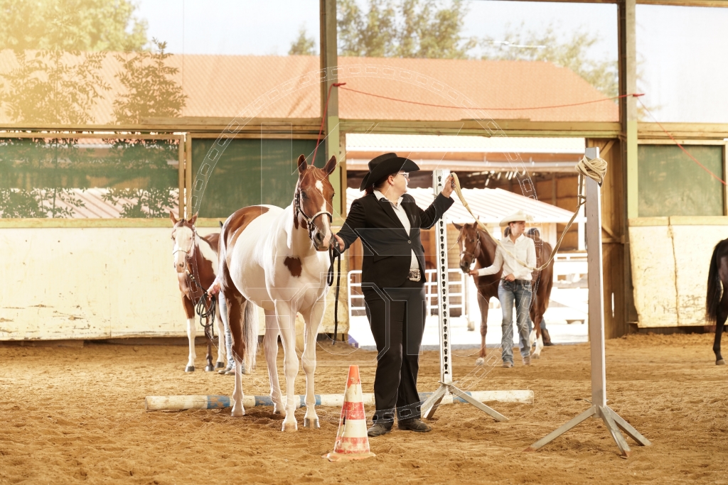 s_K3F03295.JPG